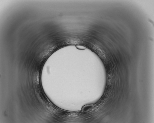 X0000093360358200711081519