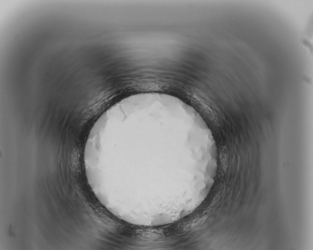 X0000093360359200711081519