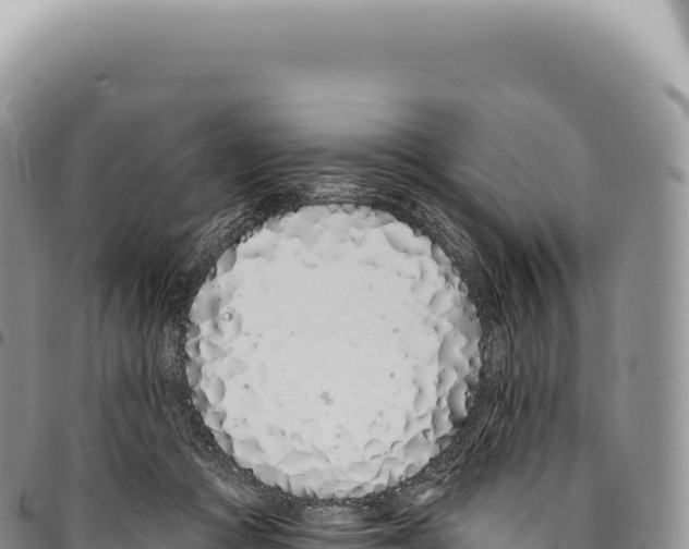 X0000093360361200711081519
