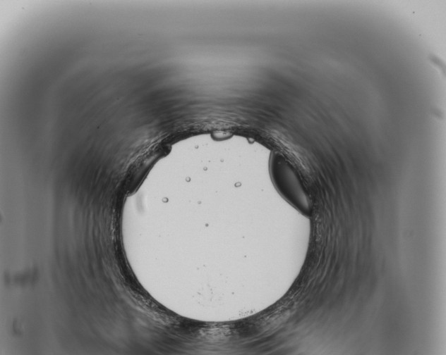 X0000093360362200711081519