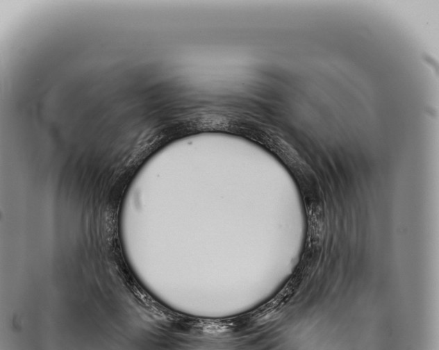 X0000093360363200711081519