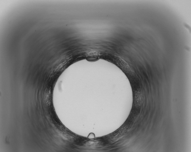X0000093360364200711081519