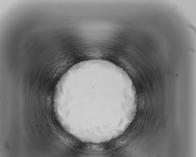 X0000093360365200711081519