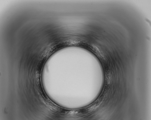 X0000093360366200711081520