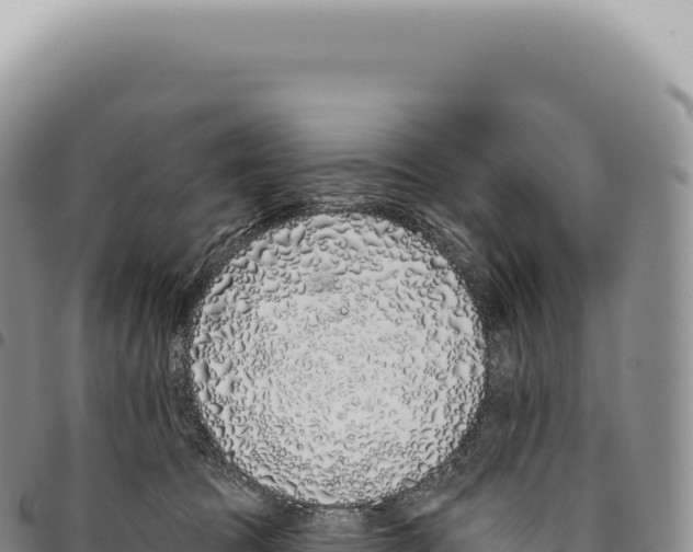 X0000093360369200711081520