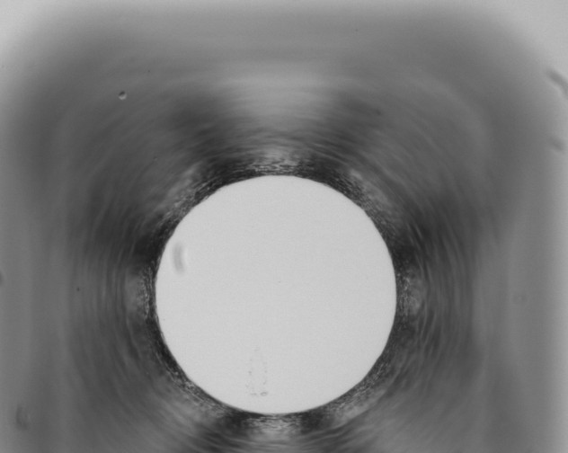 X0000093360370200711081520
