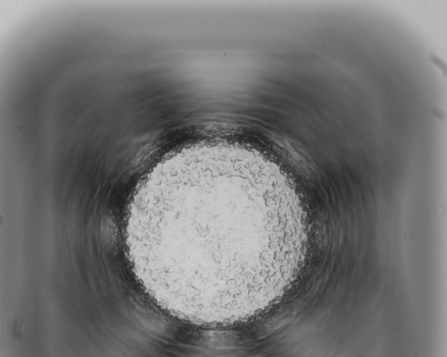 X0000093360371200711081520