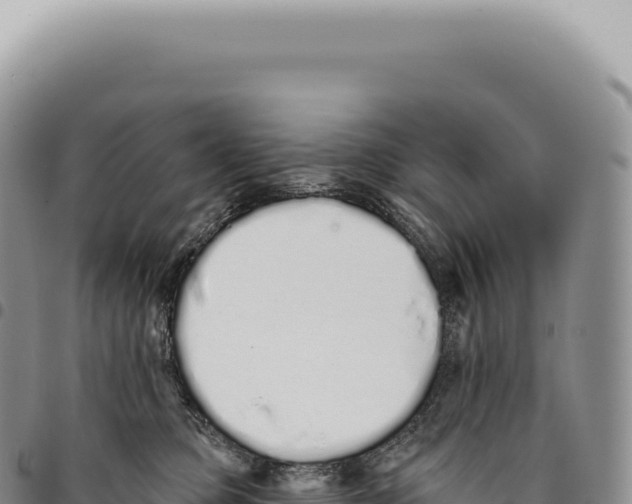 X0000093360373200711081520