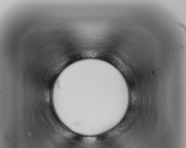 X0000093360374200711081520