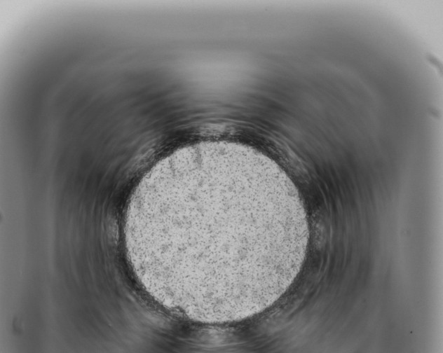 X0000093360375200711081520
