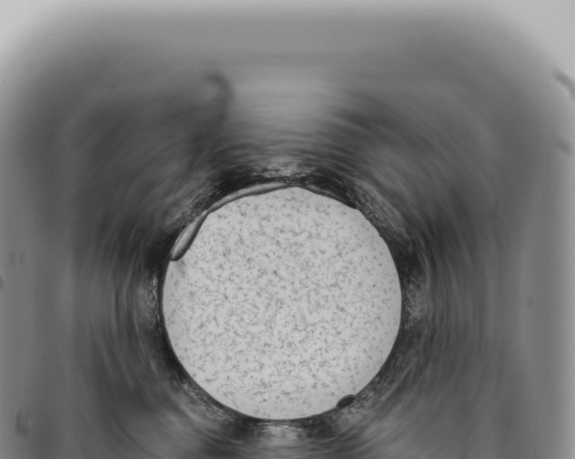 X0000093360376200711081520