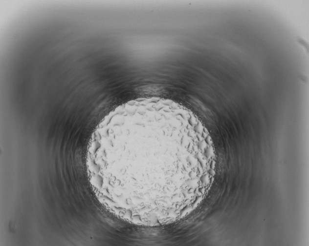 X0000093360377200711081520