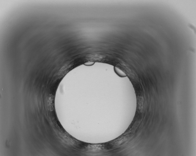 X0000093360378200711081520