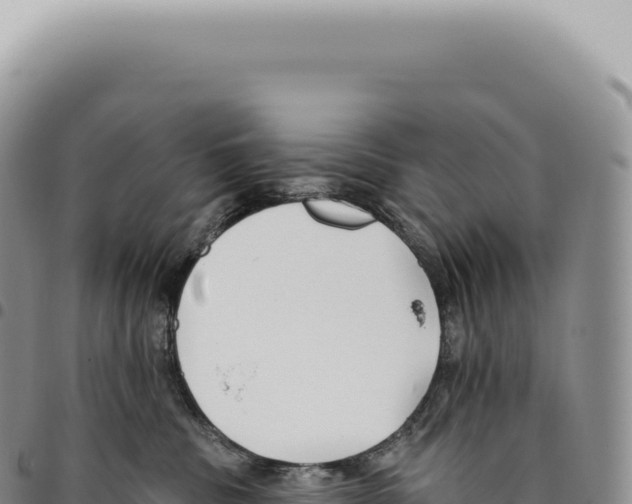 X0000093360379200711081520