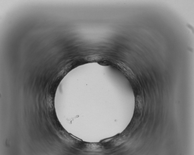 X0000093360380200711081520