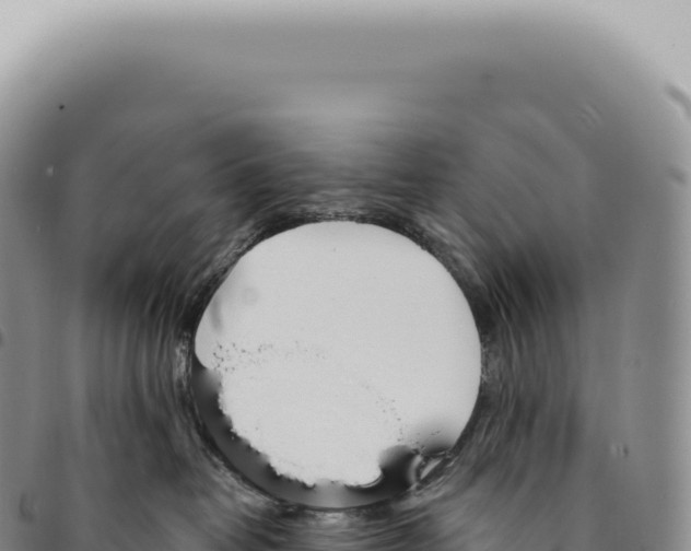 X0000093360382200711081520