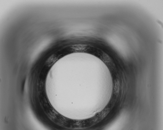X0000093360383200711081520