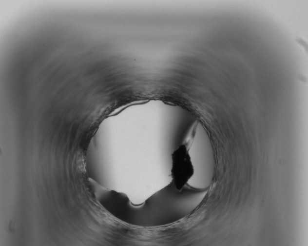 X0000093360384200711081520