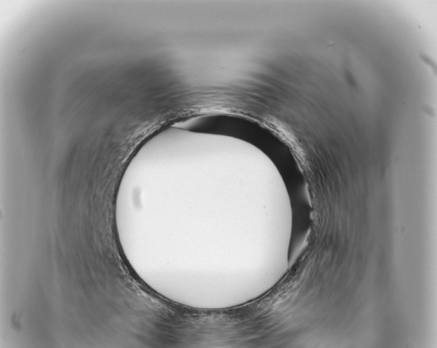 X0000093360385200711081519