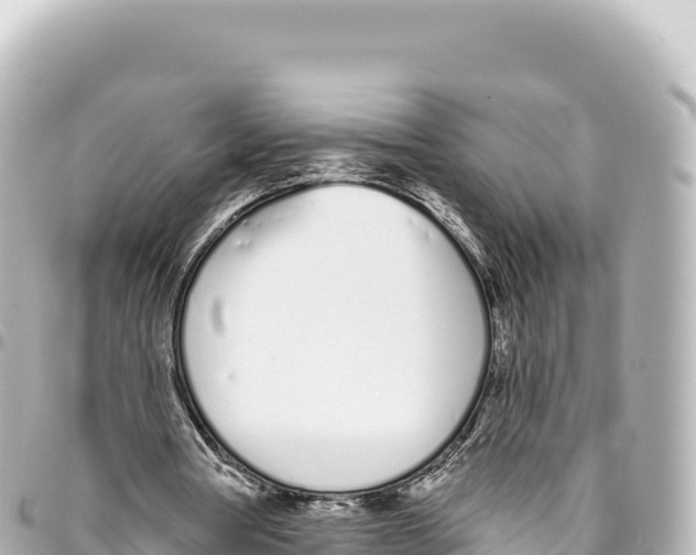 X0000093360386200711081519