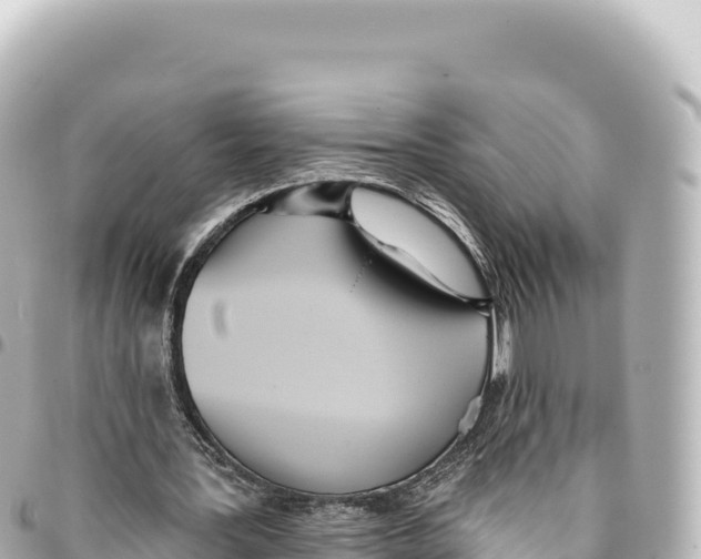 X0000093360387200711081519