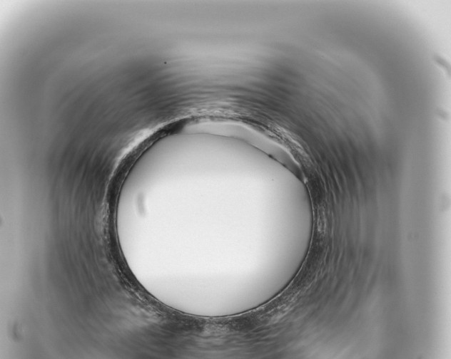 X0000093360388200711081519