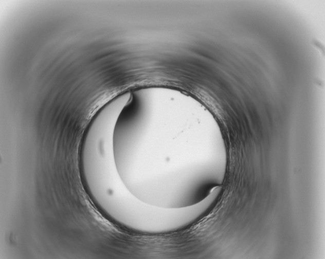 X0000093360389200711081519