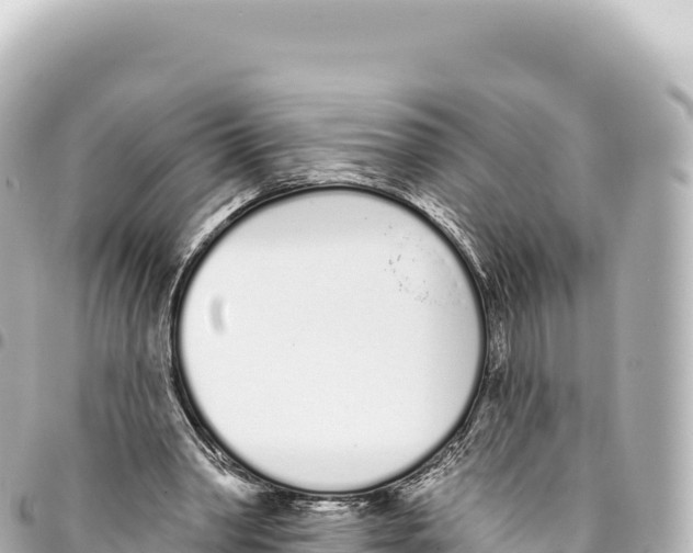 X0000093360390200711081519