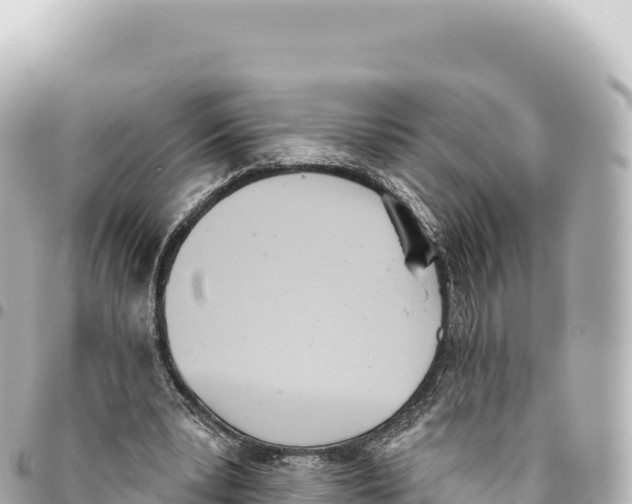 X0000093360391200711081519