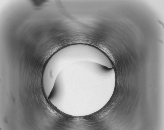 X0000093360393200711081519