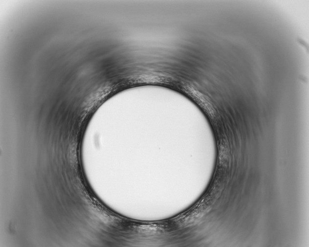 X0000093360394200711081519