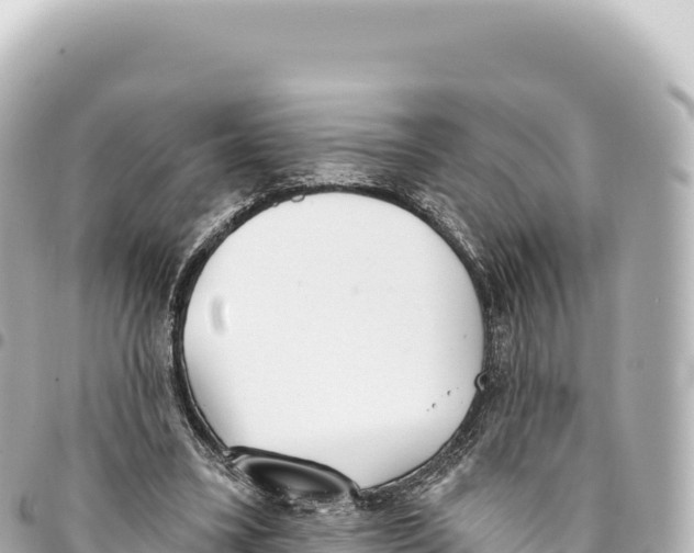 X0000093360395200711081519