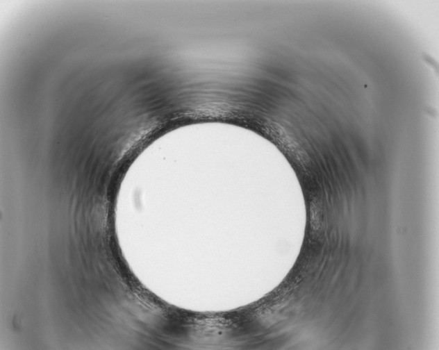 X0000093360396200711081519