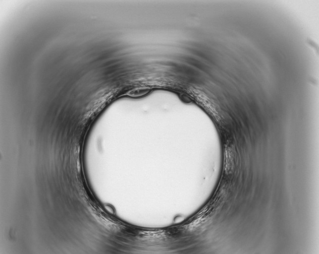 X0000093360398200711081519