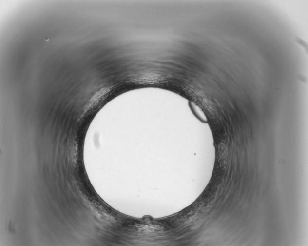 X0000093360400200711081519