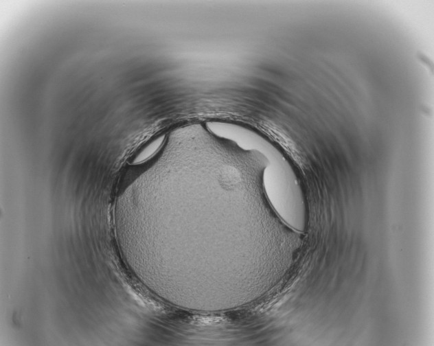 X0000093360401200711081519
