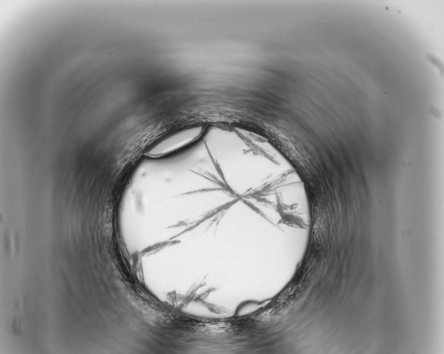 X0000093360402200711081519