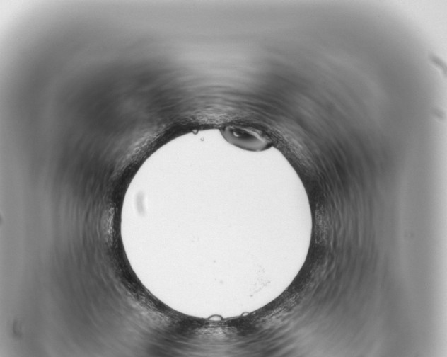 X0000093360404200711081519