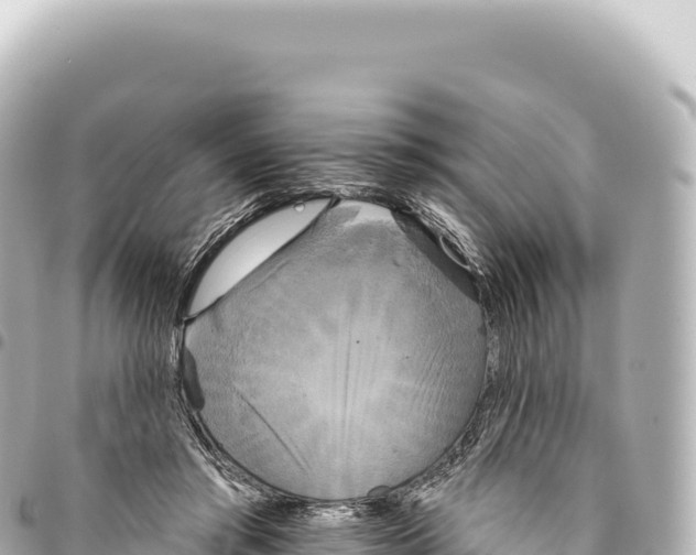 X0000093360405200711081519