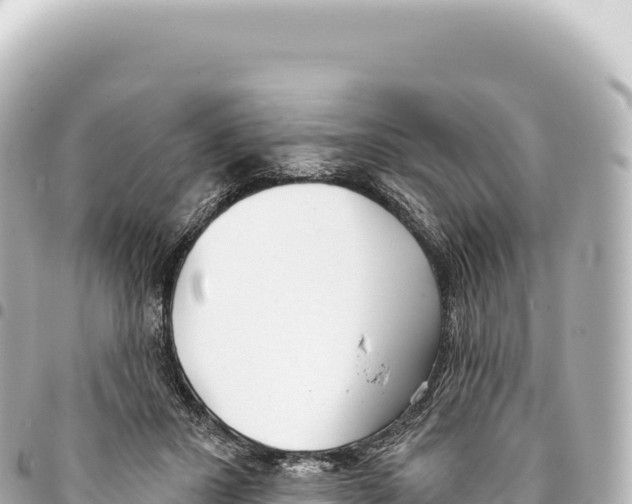 X0000093360407200711081519
