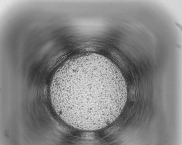 X0000093360410200711081519