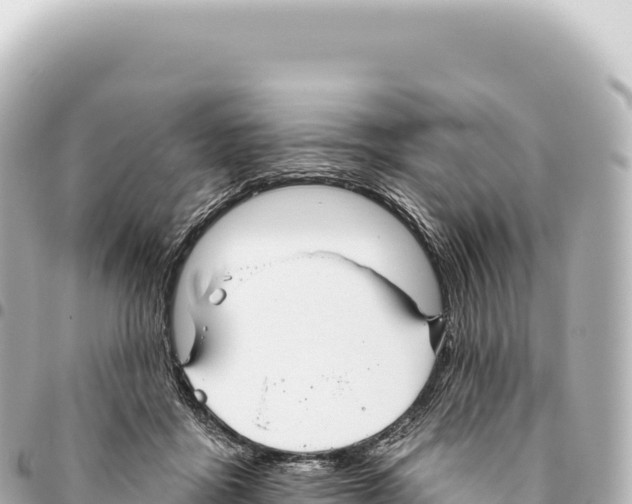 X0000093360411200711081519