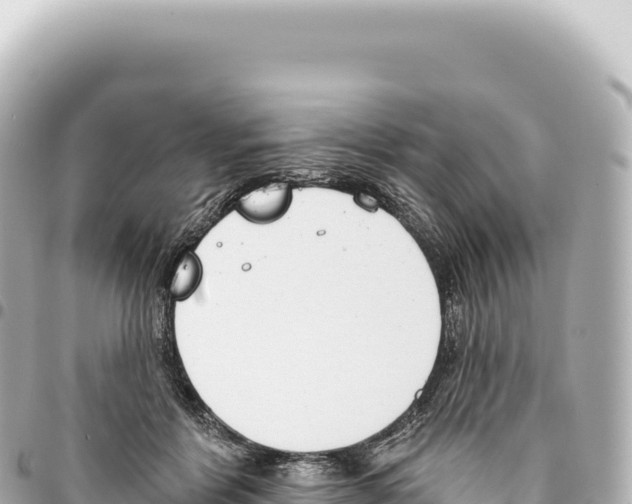 X0000093360412200711081519