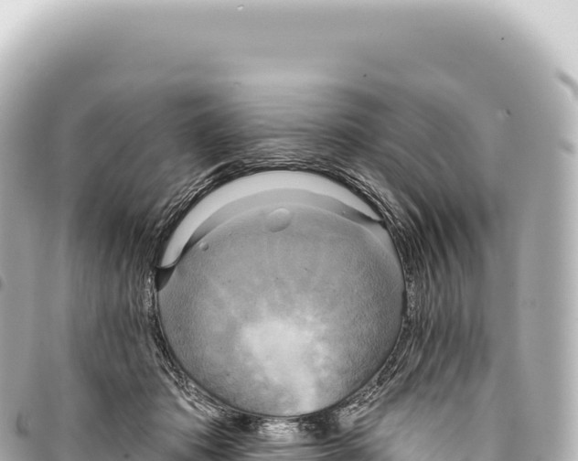 X0000093360413200711081519