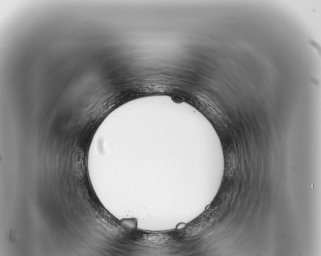 X0000093360414200711081519