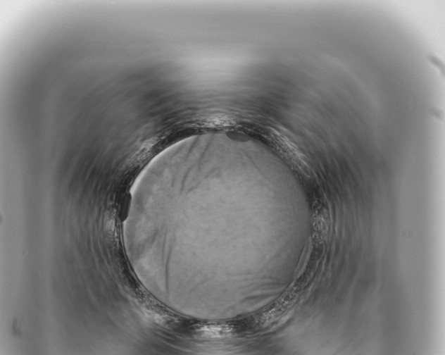X0000093360415200711081519