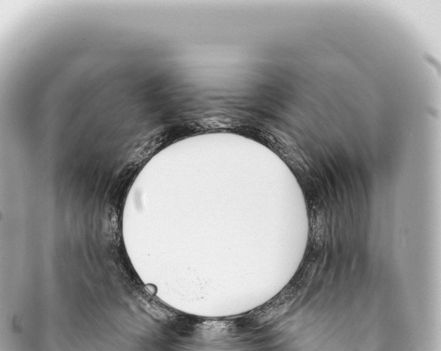 X0000093360418200711081519