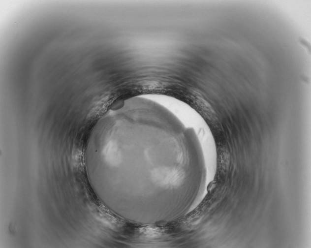 X0000093360419200711081519