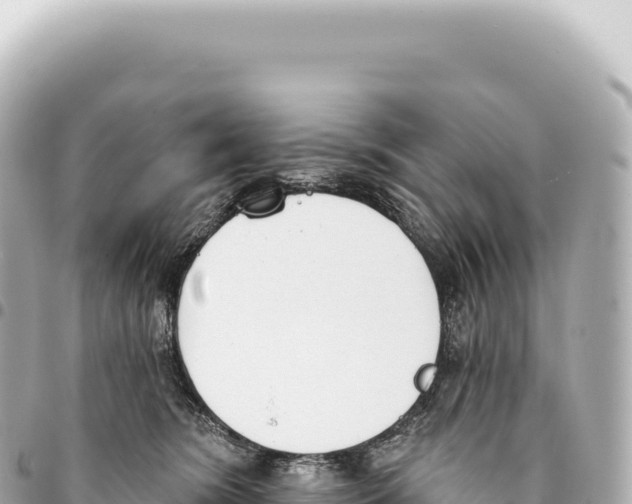X0000093360420200711081519