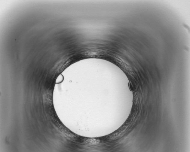 X0000093360421200711081519